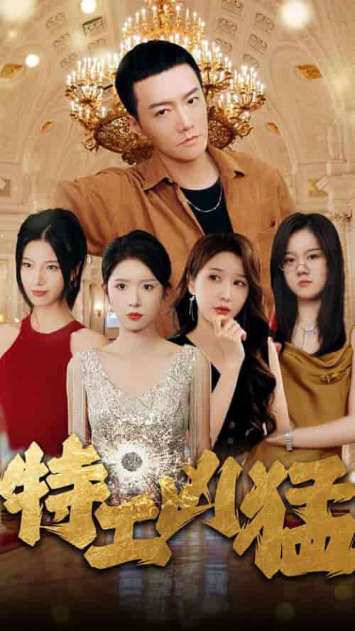 特工凶猛（95集全）-初遇资源网