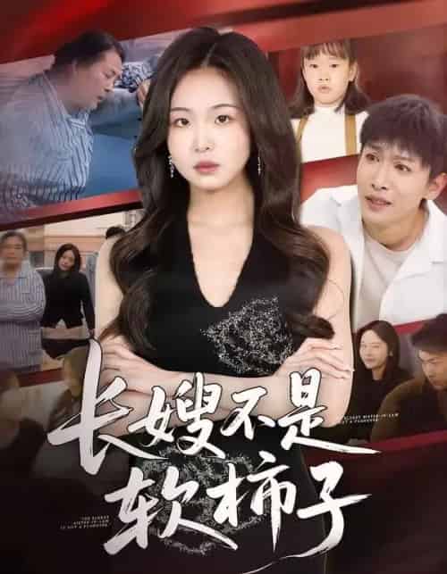 长嫂不是软柿子(50集全)王昊翔&田嘉蓉-初遇资源网