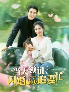 当天领证闪婚陆少追妻忙（80集全）-初遇资源网