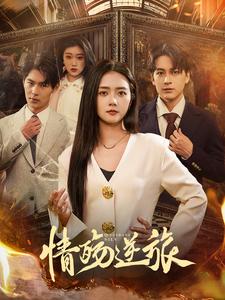 情殇逆旅（90集全）雷玉孟-初遇资源网