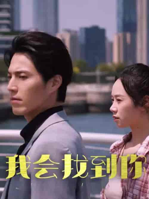 我会找到你(95集全)-初遇资源网