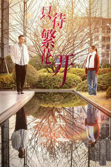 只待繁花开(35集全)-初遇资源网