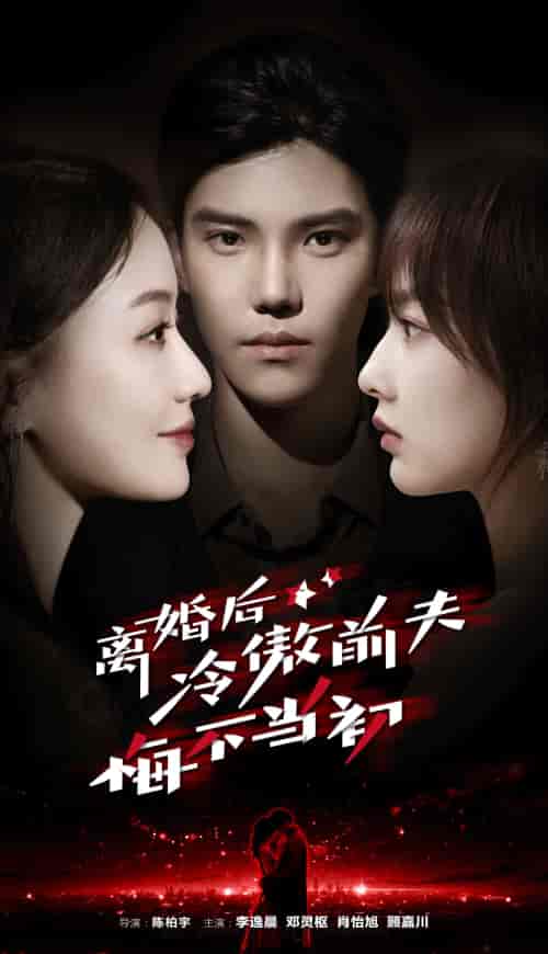 离婚后冷傲前夫悔不当初（83集）邓灵枢-初遇资源网