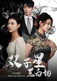 双子星黑白切（82集）-初遇资源网