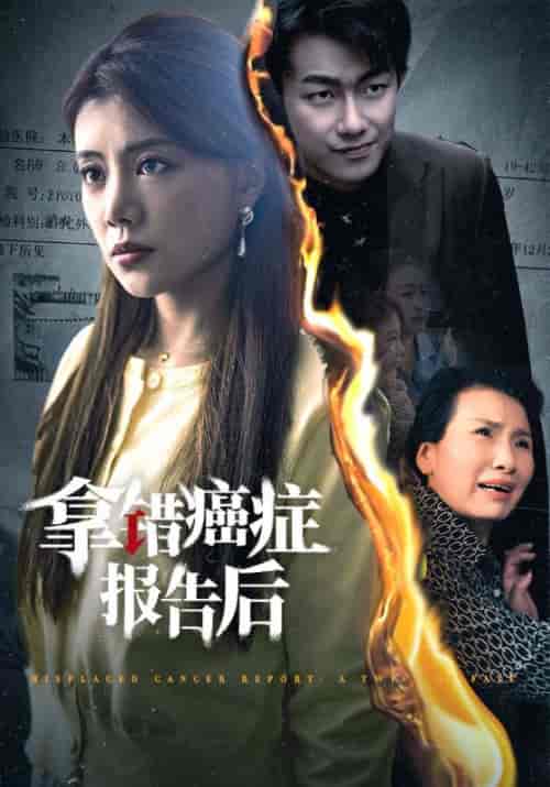 拿错癌症报告后（33集全）赵志刚＆潘月-初遇资源网