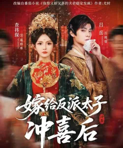 嫁给反派太子冲喜后（64集全）吕岳＆查袆琛-初遇资源网