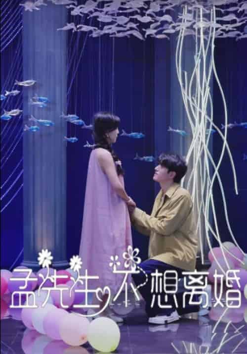 孟先生不想离婚（30集全）孟济川＆宋暖-初遇资源网