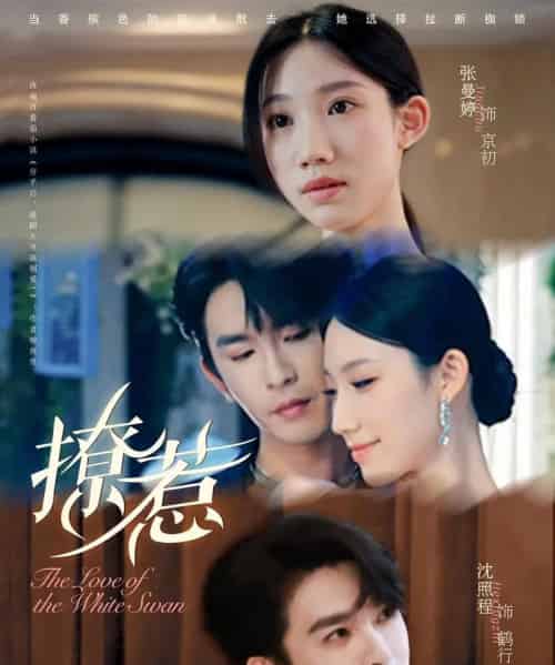 撩惹（80集全）张曼婷＆沈照程 - 夸克短剧