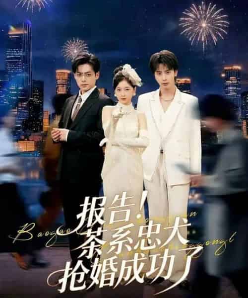 报告!茶系忠犬抢婚成功了 报告!茶系忠犬抢婚成功了