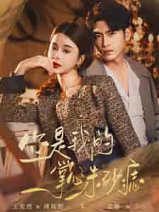 你是我的掌心朱砂痣（80集）孟娜-初遇资源网