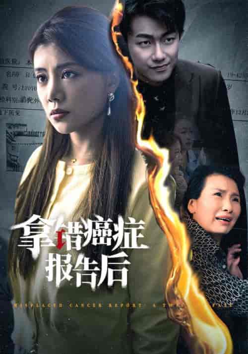 拿错癌症报告后（33集全）-初遇资源网