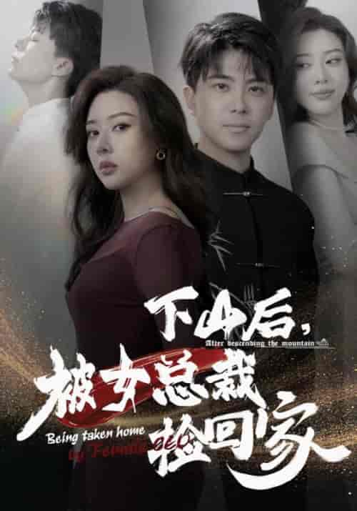 下山后，被女总裁捡回家（95集全）林辰＆楚嘉雪-初遇资源网