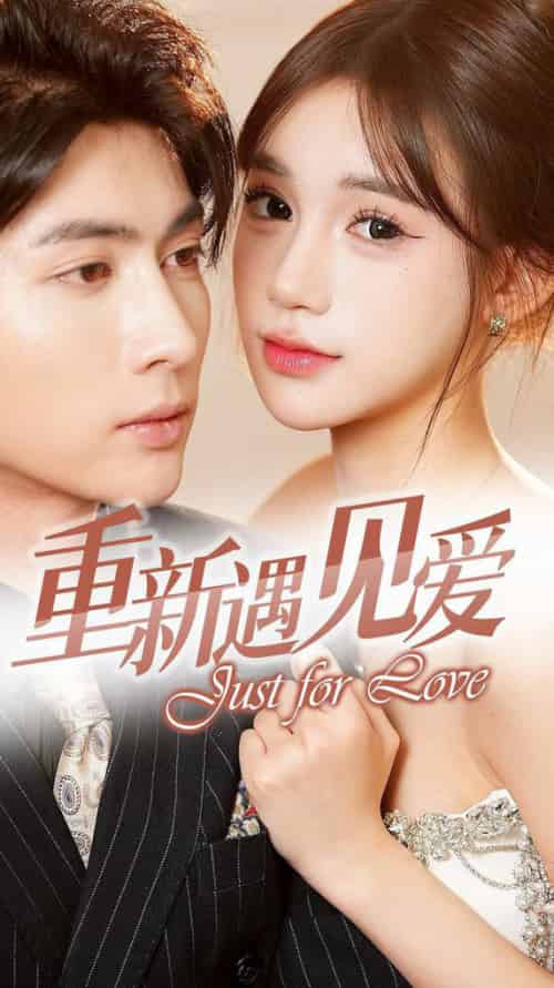 重新遇见爱＆换婚后我成了大哥的心尖宠（36集全）王子林-初遇资源网