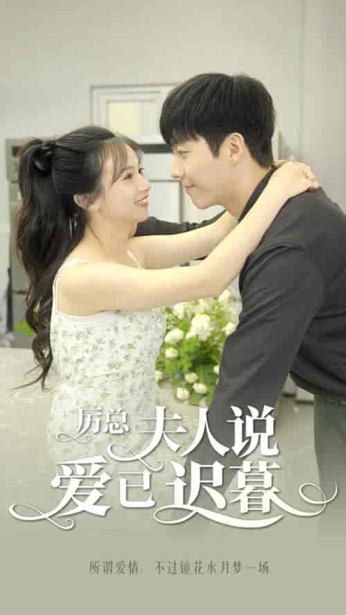 厉总,夫人说爱已迟暮(100集)-初遇资源网
