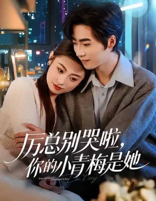厉总别哭啦,你的小青梅是她(70集全)薛薛&吴嘉欢&吴宜橙-初遇资源网