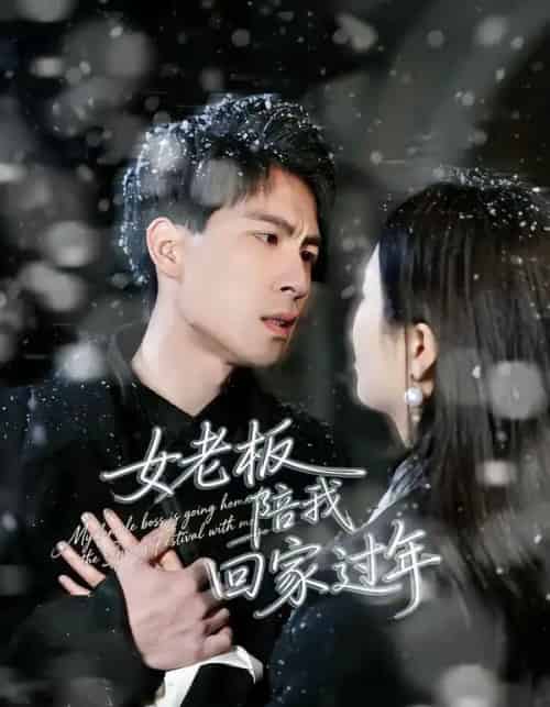 女老板陪我回家过年(40集全)罗珊珊&贺翔-初遇资源网