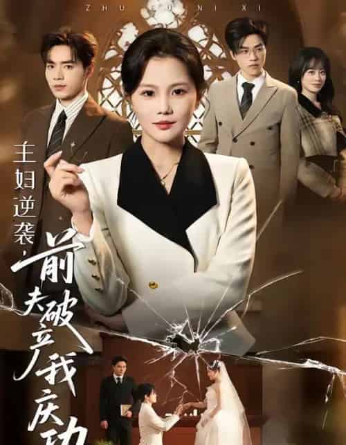 主妇逆袭，前夫破产我庆功（36集全）向云茜＆陈团-初遇资源网