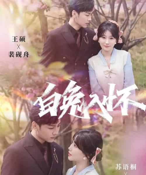 白兔入怀（60集全）星硕＆苏语桐-初遇资源网