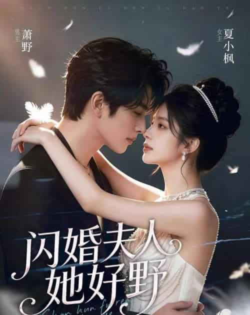 闪婚夫人她好野（69集全）AI - 夸克短剧