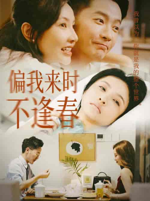 偏我来时不逢春（36集全）-初遇资源网