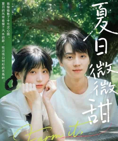 夏日微微甜(79集)苏泽林&宋澎澎-初遇资源网