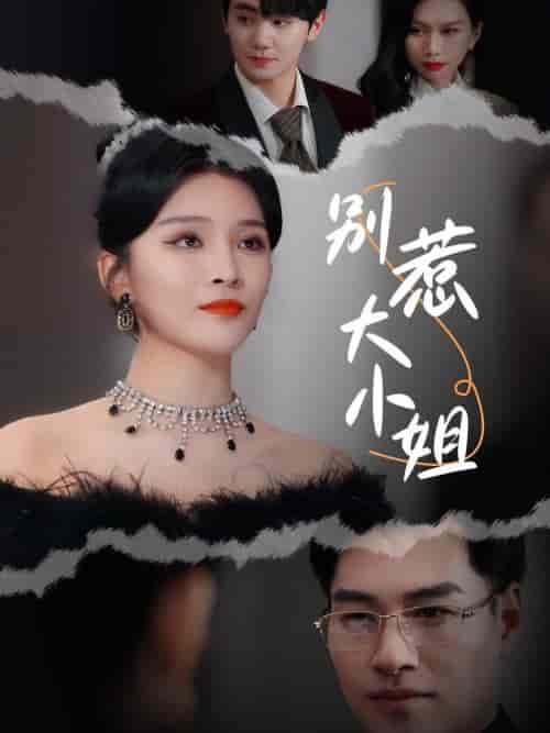 别惹大小姐（31集全）杨妍-初遇资源网