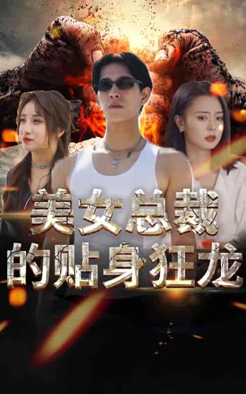 美女总裁的贴身狂龙（85集）-初遇资源网