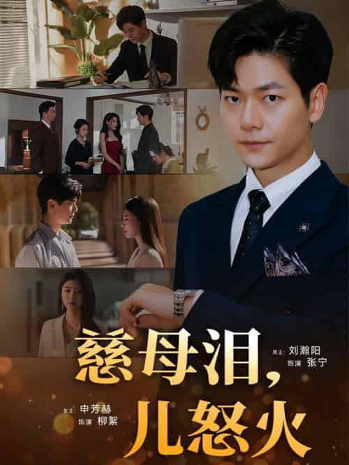 慈母泪儿怒火(50集全)刘瀚阳&申芳赫-初遇资源网