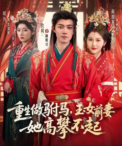 重生做驸马,玉女前妻她高攀不起(79集全)玖月&尚雨茜&可为-初遇资源网