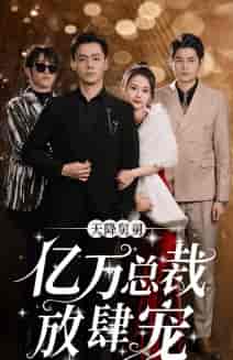 天降舅舅亿万总裁放肆宠（71集）-初遇资源网