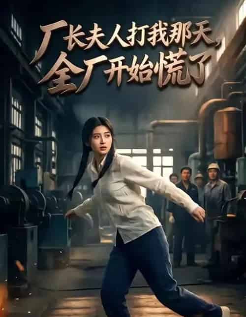 厂长夫人打我那天全厂开始慌了（44集全）-初遇资源网