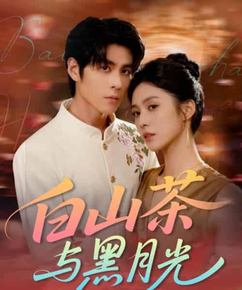 白山茶与黑月光（59集全）邓雯文＆安奕明-初遇资源网
