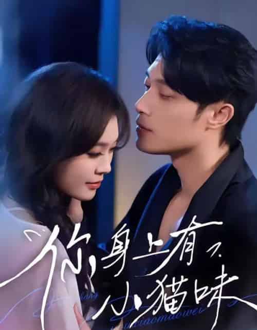 你身上有小猫味(47集全)韩悦&一安羊-初遇资源网