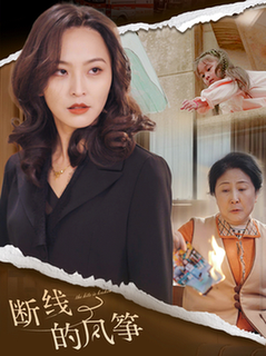 断线的风筝（30集全）-初遇资源网