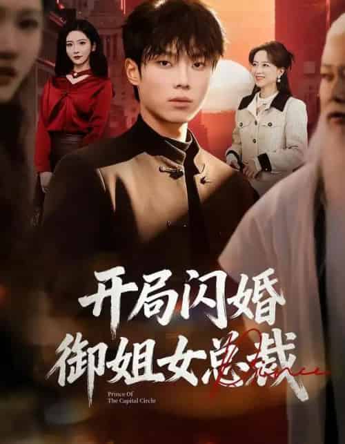 开局闪婚御姐女总裁（62集全）肖茜文＆杨晨-初遇资源网