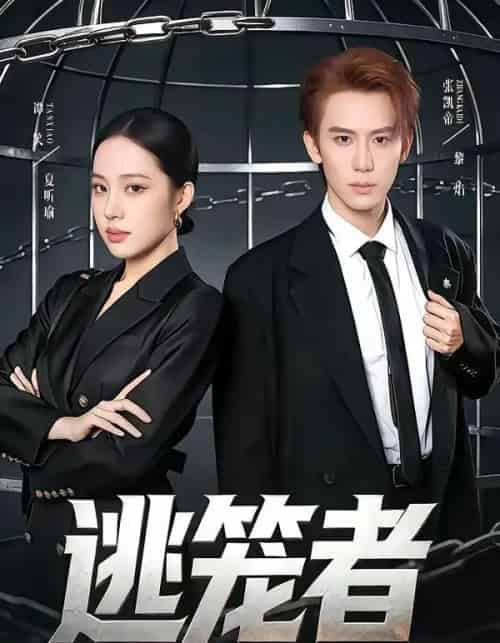 逃笼者(71集全)张凯帝&谭笑-初遇资源网