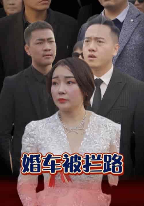 婚车被拦路（79集全）杨松川＆何凤-初遇资源网