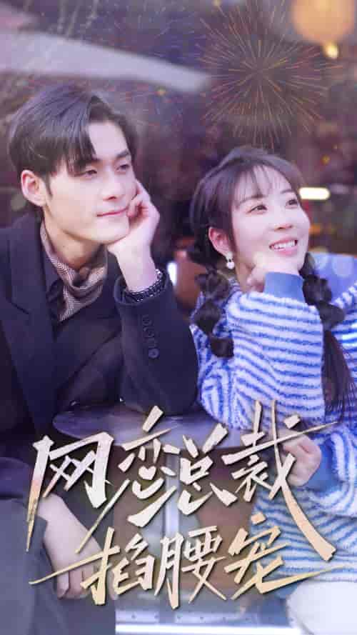 网恋总裁掐腰宠（93集）-初遇资源网