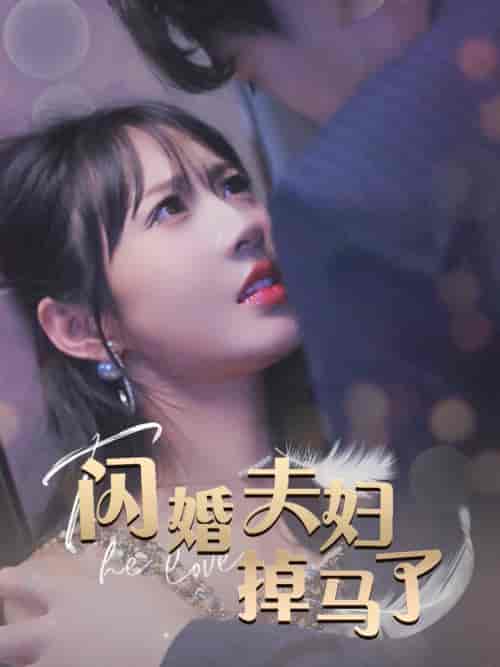 闪婚夫妇掉马了（40集全）-初遇资源网