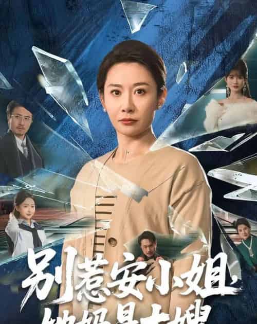 别惹安小姐,她妈是大嫂(100集全)王圻嘉&王辉-初遇资源网