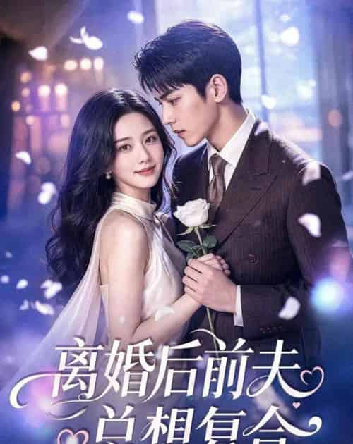 离婚后前夫总想复合（72集全）AI-初遇资源网
