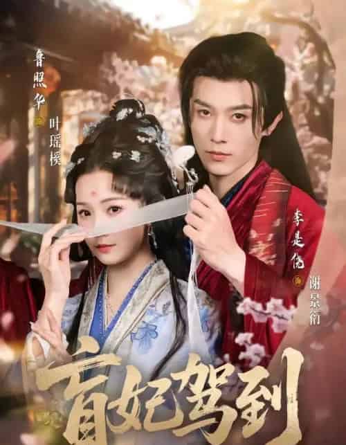 盲妃驾到(65集全)鲁照华&李是侥-初遇资源网