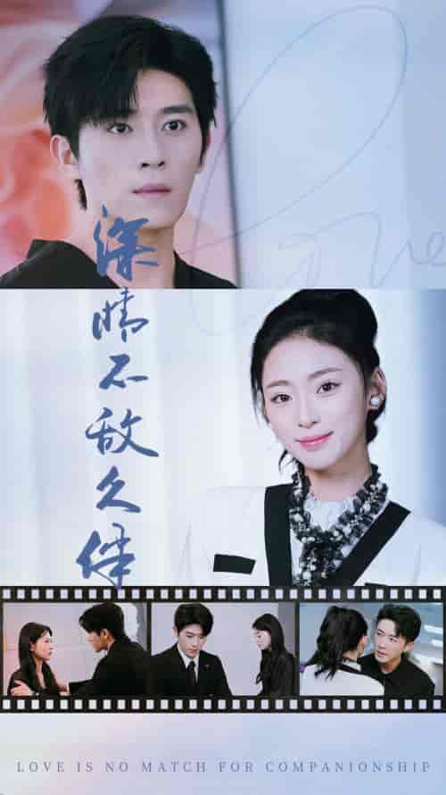 深情不敌久伴（50集）王美淇-初遇资源网