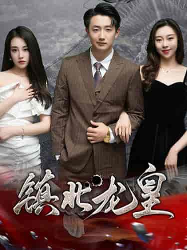 镇北龙皇&镇北龙帅(97集)-初遇资源网