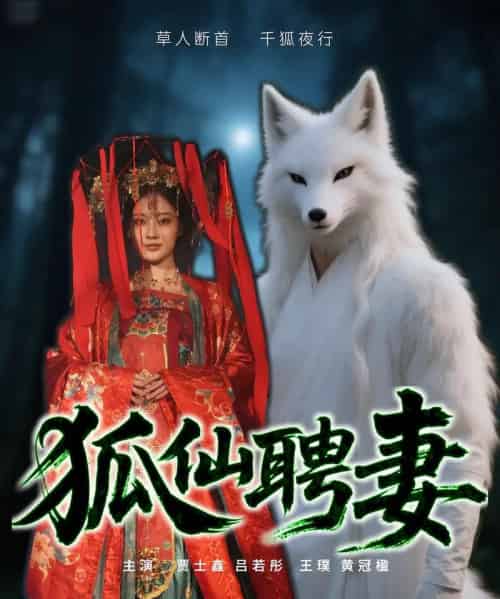 狐仙聘妻（30集）-初遇资源网