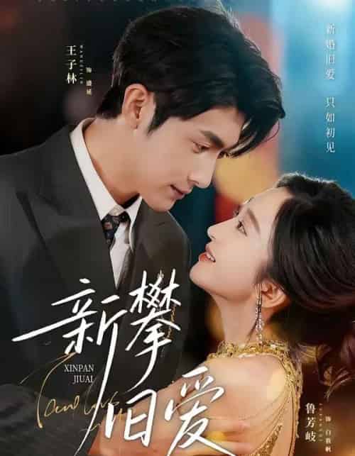 新攀旧爱(67集全)王子林&鲁芳岐-初遇资源网