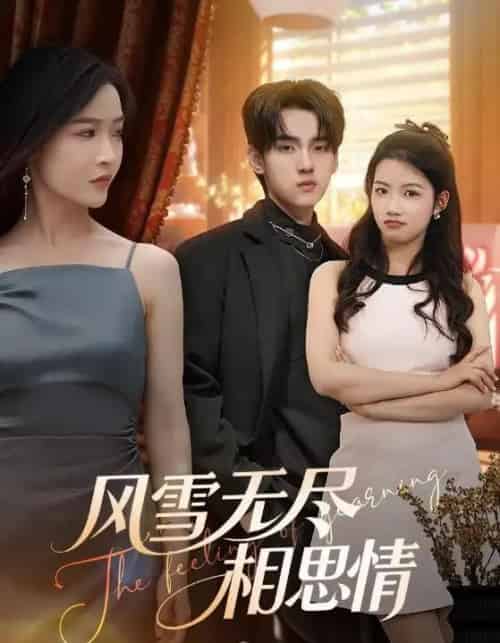 风雪无尽相思情（61集全）李珊＆詹琸-初遇资源网