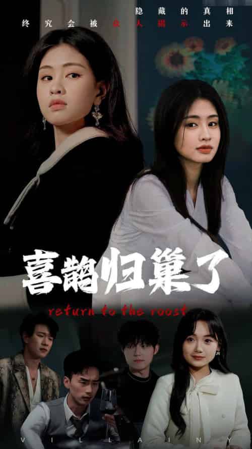 喜鹊归巢了（60集全）朱小雪-初遇资源网