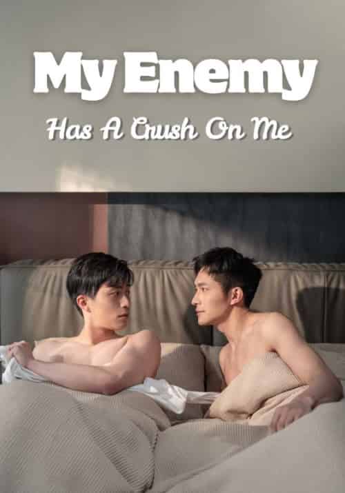 My Enemy Has A Crush On Me(19集全)Fu&Ci&Jiang&Nai-初遇资源网