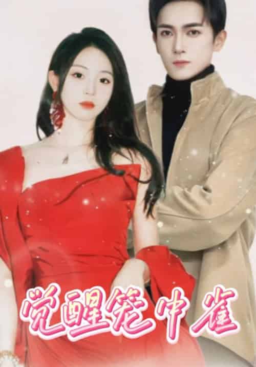 觉醒笼中雀(82集全)傅怀安&安愿-初遇资源网